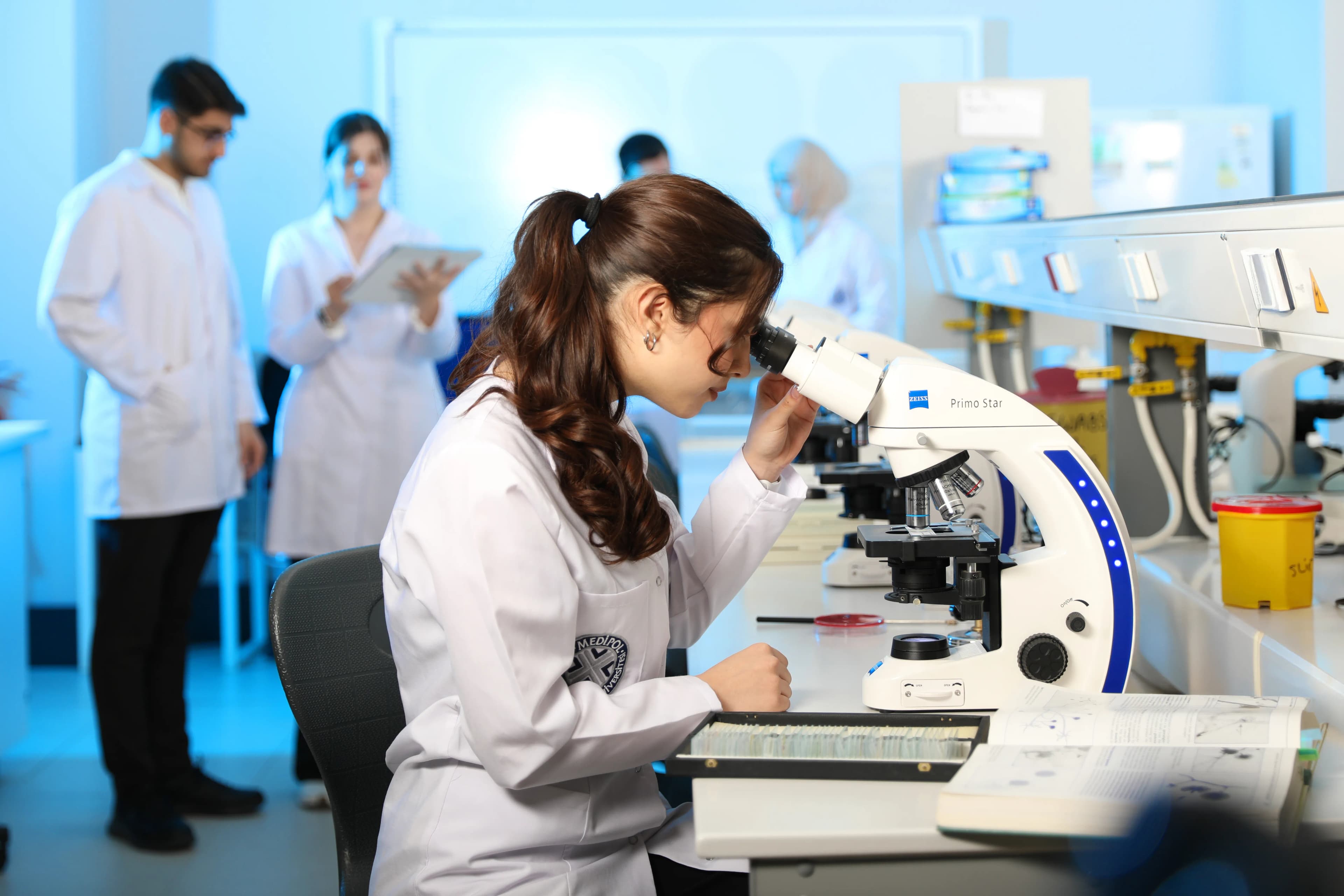 Higher Biology 2027: Course Guide, Past Papers and Revision Strategy
